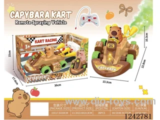 RC car W L/M/spray