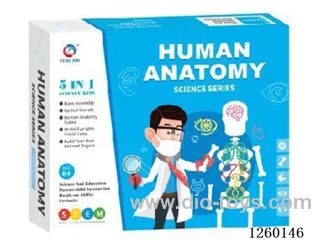 Human Body Science Experiment Series Kit