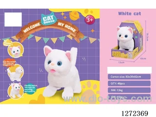 B/O cat
