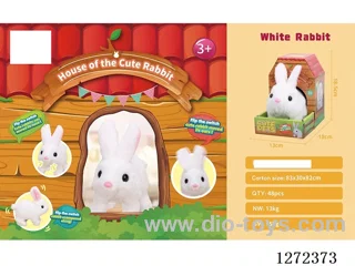 B/O rabbit