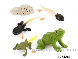 frog lifecycle toy in bag