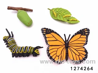 butterfly lifecycle in bag