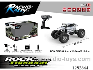 1:18 RC car included battery