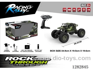 1:18 RC car included battery
