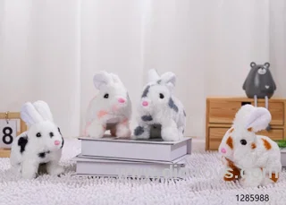 rabbit