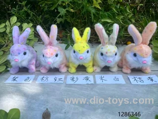 rabbit