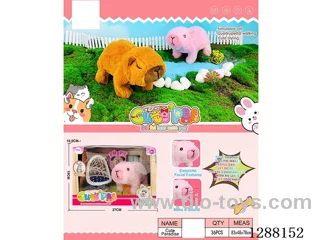 B/O pet toys