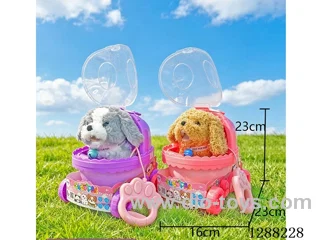 Voice-Recording Pet Toys