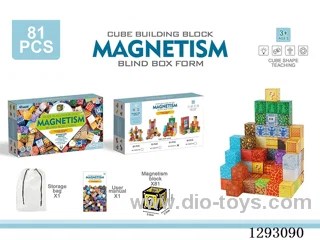 2cm Magnetic Building Blocks, 81PCS