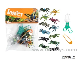 Educational Observation Clips with 12 Spiders