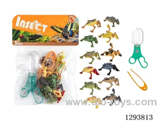 Educational Observation Clips with 12 Frogs