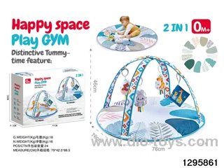 2-in-1 Baby Gym Mat in color box