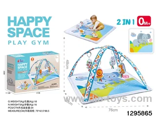 2-in-1 Baby Gym Mat in color box