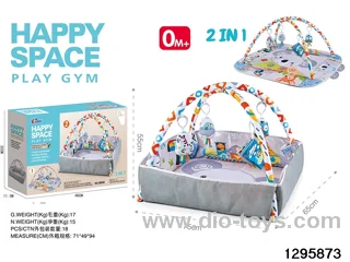 2-in-1 Baby Gym Mat in color box