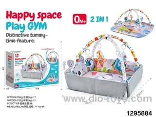 2-in-1 Baby Gym Mat in color box