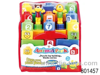 building block in PVC packsack 30PCS