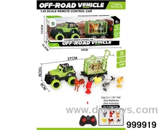 RC car in window box