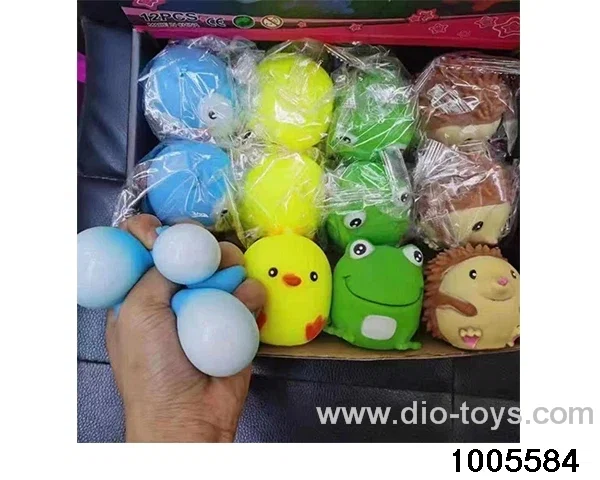 Cute pet in display box