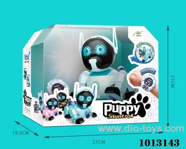 RC stunt dog with watch in window box