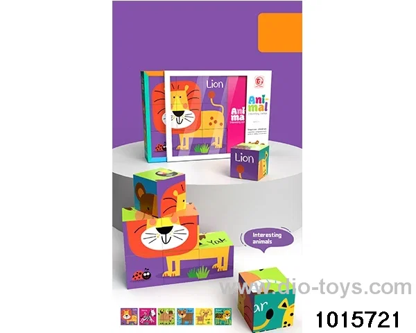 6 in 1 Puzzles in color box