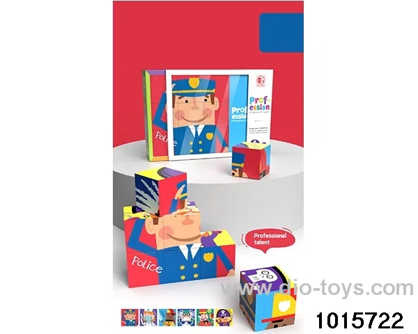 6 in 1 Puzzles in color box