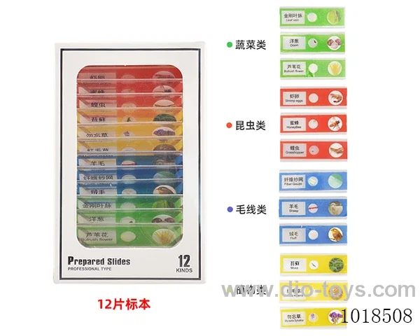 12pcs  specimen in window box