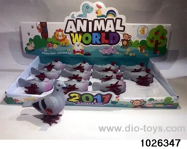 winding pigeons in display box
