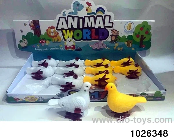 winding pigeons in display box