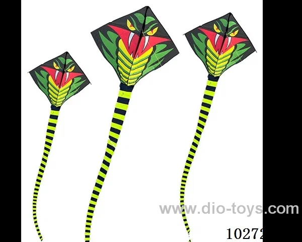 kite with line in opp bag