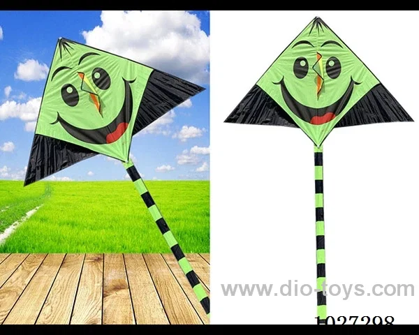 kite with line in opp bag