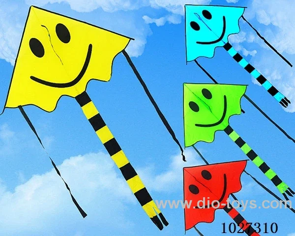 kite with line in opp bag