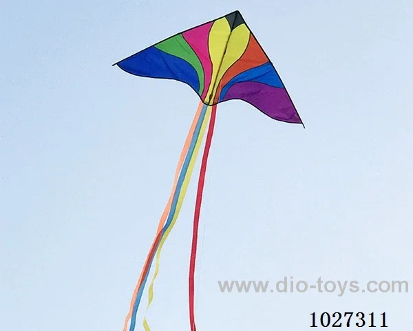 kite with line in opp bag