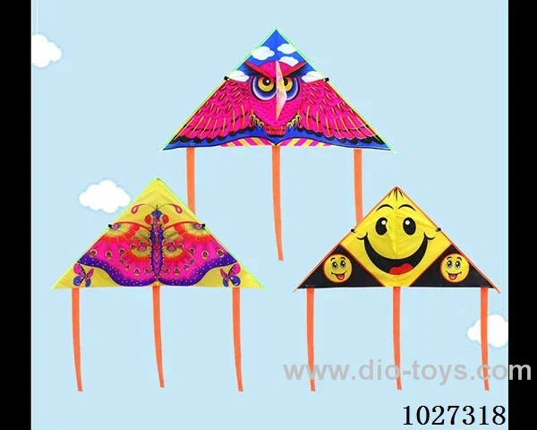 kite with line in opp bag