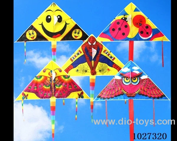 kite with line in opp bag