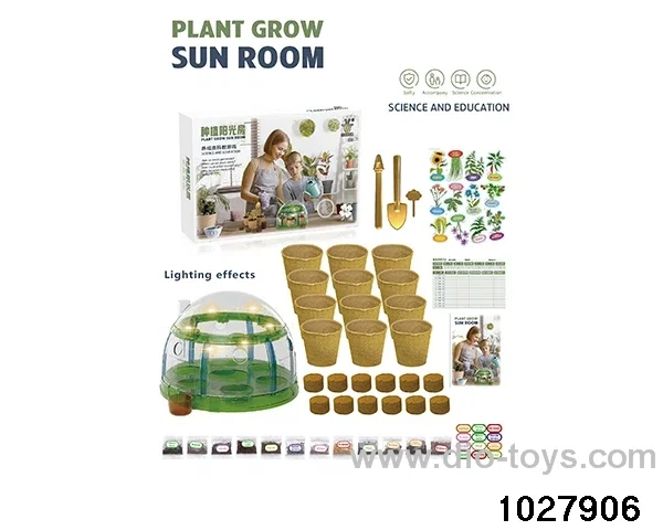 Children's planting sunroom in color box