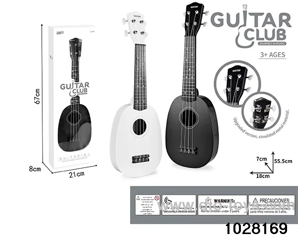 21 inch guitar in window box
