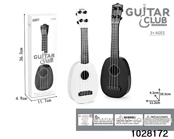 Guitar in window box