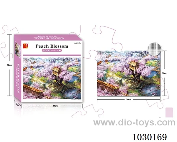 1000PCS  Puzzle toy in color box