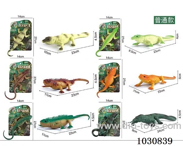 8 inch lizard  6 mixed in Tied On Card