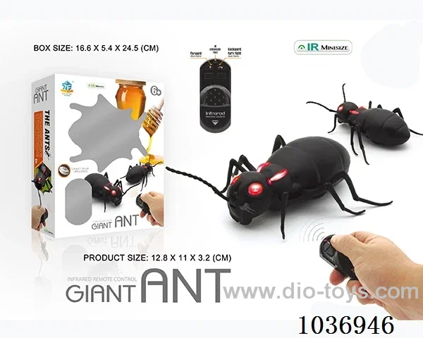 Infrared RC ant in window box