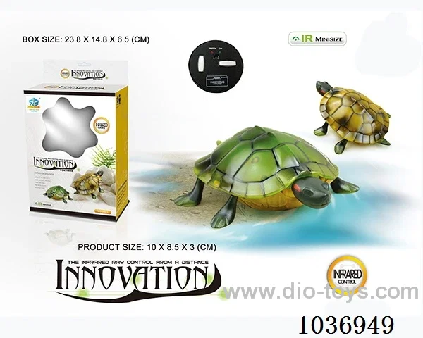 RC  turtle 2color mixed loading in window box