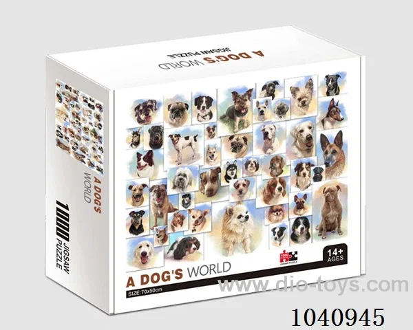 1000PCS Puzzle toy in color box