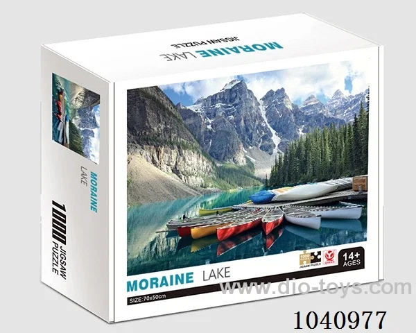 1000PCS Puzzle toy in color box