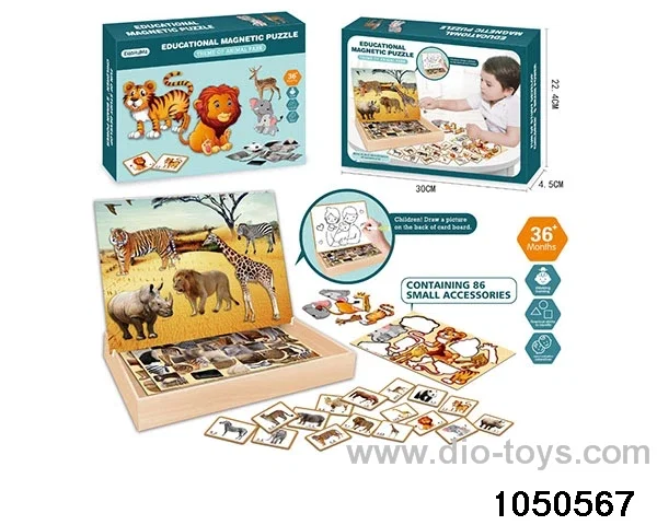 Magnetic Puzzle in color box