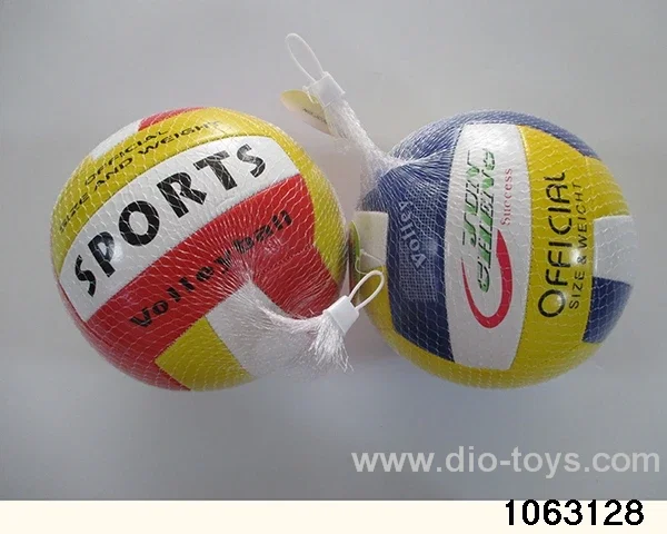 9 inch volleyball in Net bag