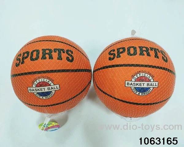 10 inch basketball in Net bag