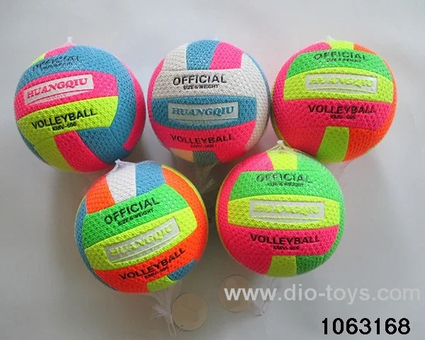 9 inch volleyball in Net bag