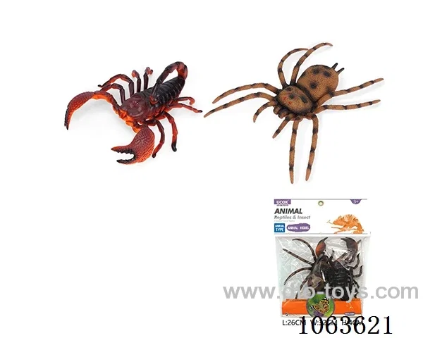 insect