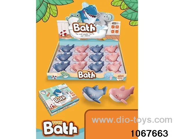 Cute Shark in display box