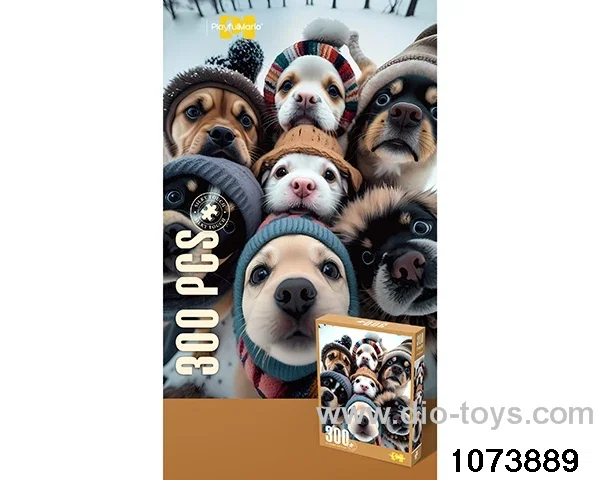 300pcs puzzle in bottom box